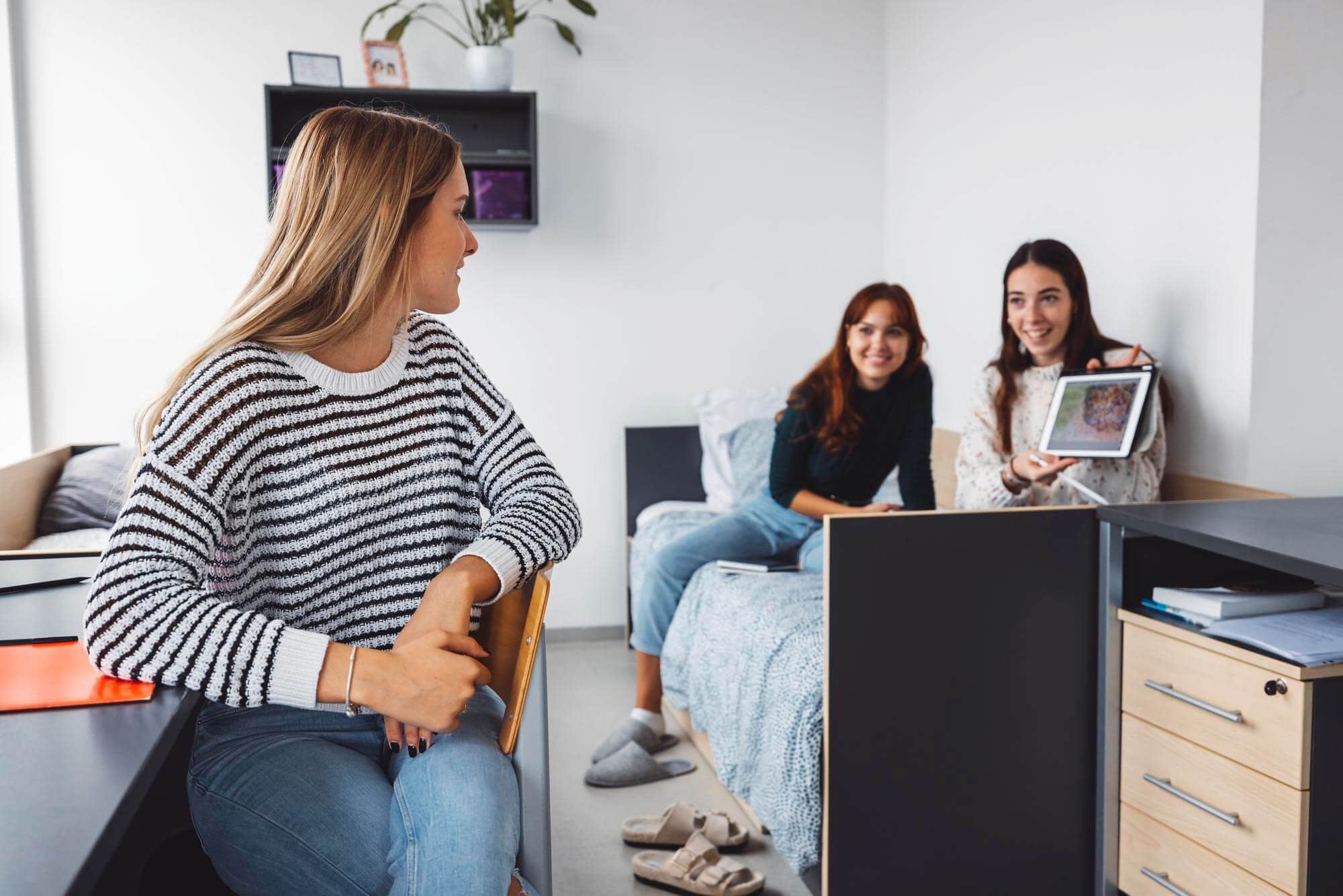 Let’s Find Your Accommodation.